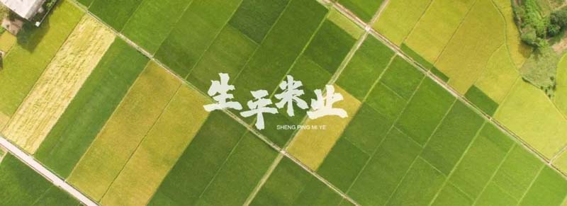 口碑引客,JNSPORTS江南&生平米业开启品牌战略合作