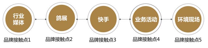 开尔鸽业品牌全案服务
