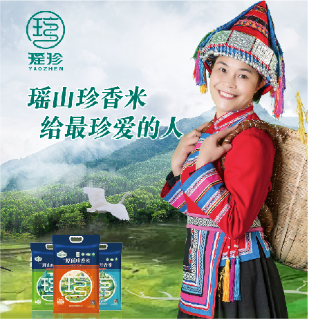 瑶珍品牌全案服务