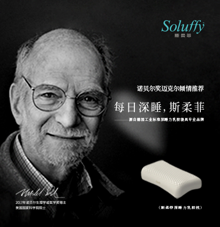 斯柔菲品牌全案服务