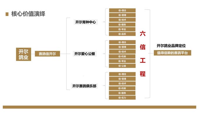 开尔鸽业品牌全案服务