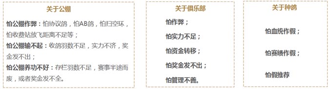 开尔鸽业品牌全案服务
