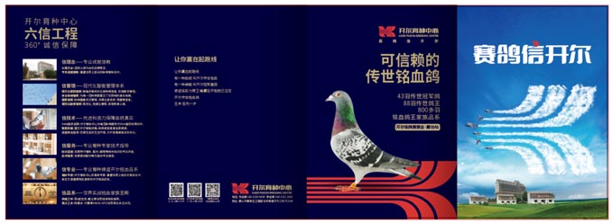 开尔鸽业品牌全案服务