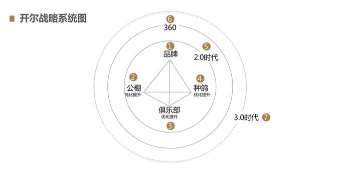 开尔鸽业品牌全案服务
