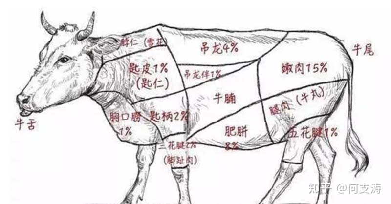 JNSPORTS江南创始人年会演讲实录:作品2023-感动超越