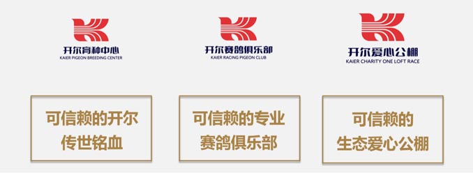 开尔鸽业品牌全案服务