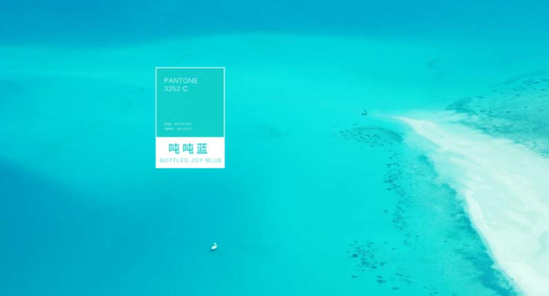 BOTTLED JOY吨吨品牌全案服务