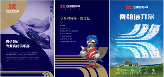 开尔鸽业品牌全案服务