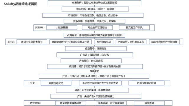 Soluffy品牌策略逻辑图 Soluffy品牌策略逻辑图