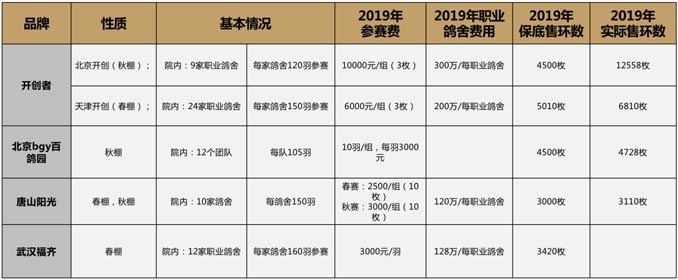 开尔鸽业品牌全案服务