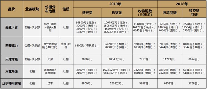 开尔鸽业品牌全案服务