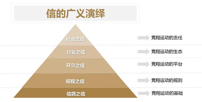 开尔鸽业品牌全案服务