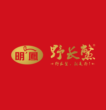 明凤品牌全案服务