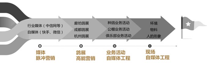 开尔鸽业品牌全案服务