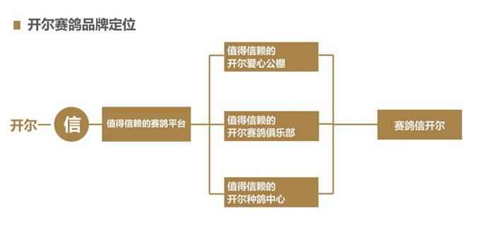 开尔鸽业品牌全案服务