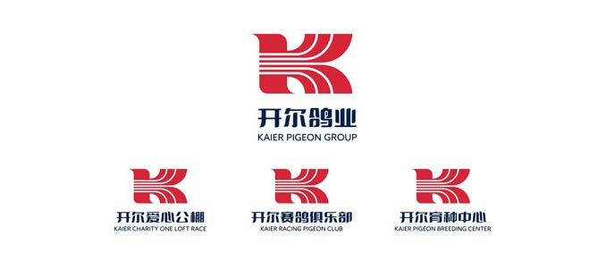 开尔鸽业品牌全案服务
