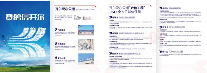开尔鸽业品牌全案服务