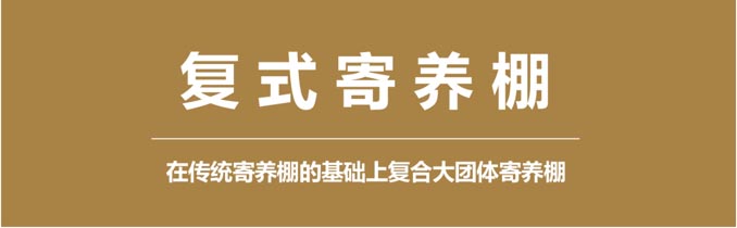开尔鸽业品牌全案服务